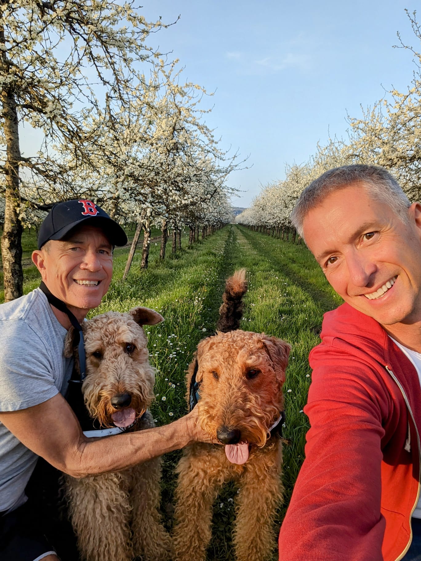Your hosts with Sherlock and Mrs Hudson in the blossoming orchard
